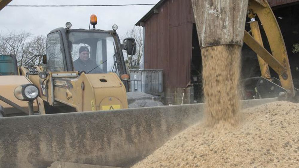 La demande de mash augmente sensiblement en France. © E. Bénard/GFA