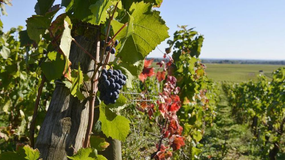 © Cédric Faimali/GFA