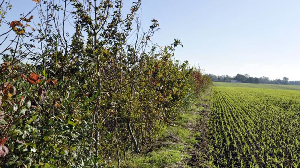 © Cédric Faimali/GFA