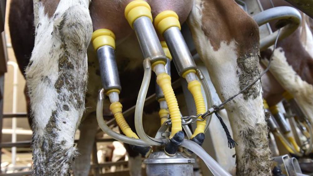 © Cédric Faimali/GFA