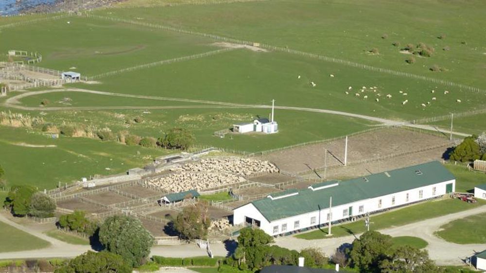 En Australie et Nouvelle-Zélande, les besoins en bâtiments se limitent souvent aux hangars de tonte et aux parcs de tri. © Valérie Scarlakens/GFA