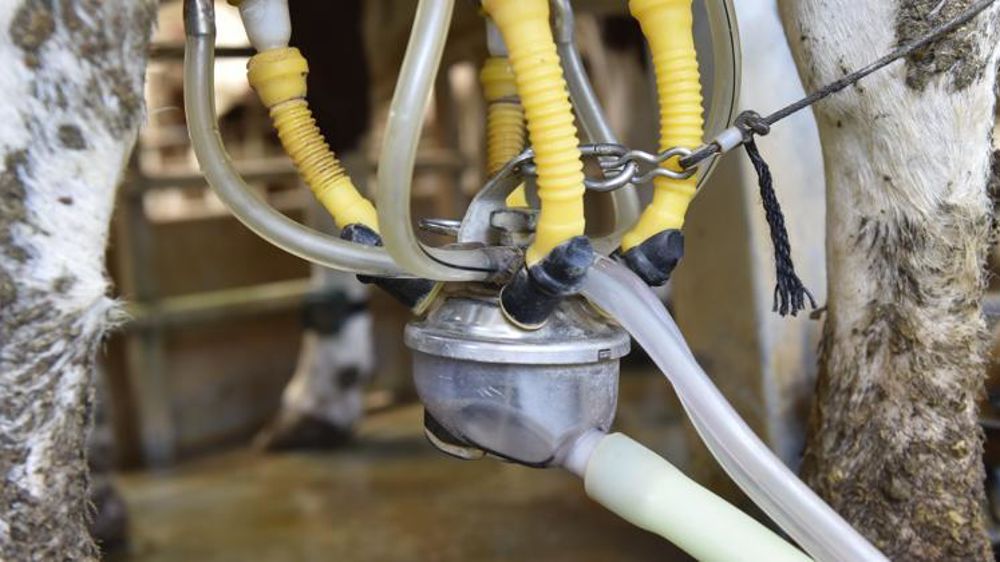 © Cédric Faimali/GFA