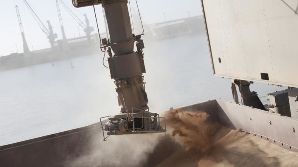 La compétitivité des blés français est en train de se dégrader et cela risque de limiter la hausse à court terme. © S. Champion