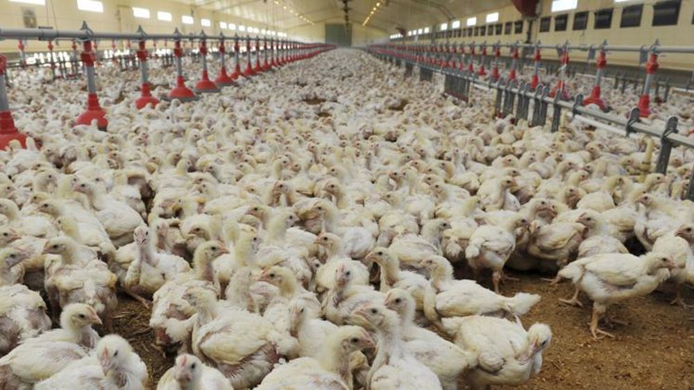 © Cédric Faimali/GFA