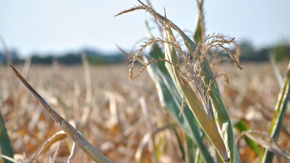 Photo d’illustration. © Pixabay