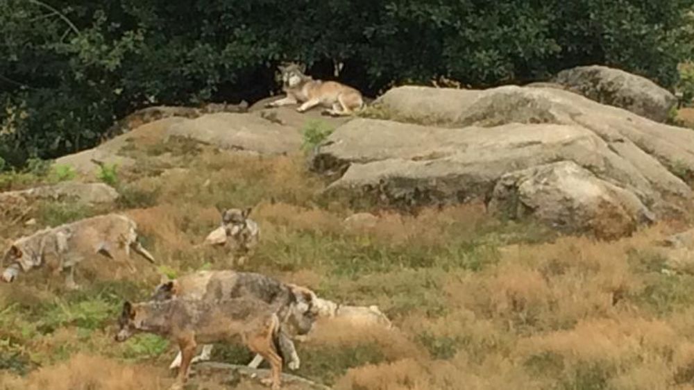 © M.-F. Malterre/GFA