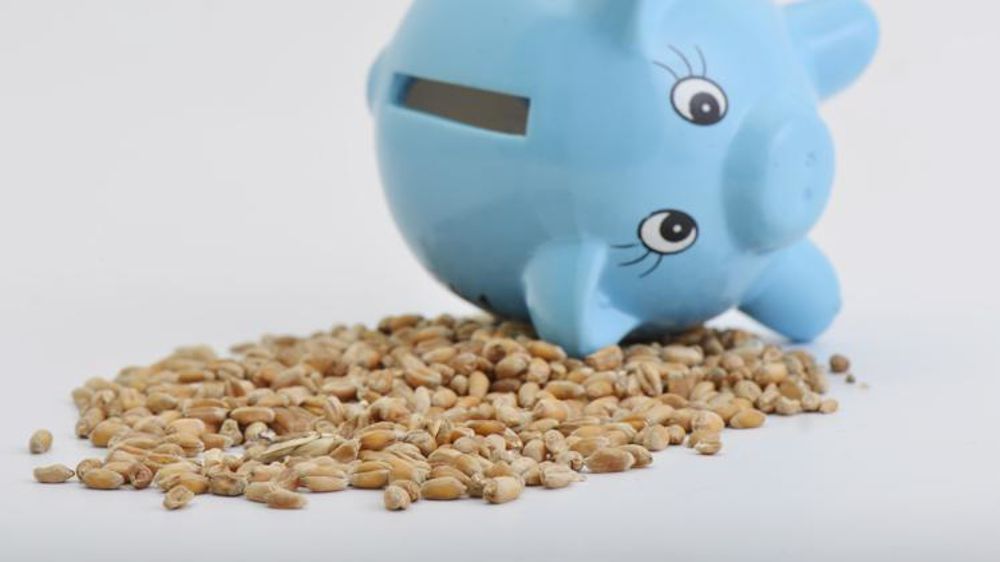 Les céréales voient la valeur de leurs exportations reculer de 79 millions d’euros sur un an. © Cédric Faimali/ GFA