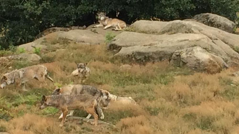 © M.-F. Malterre/GFA