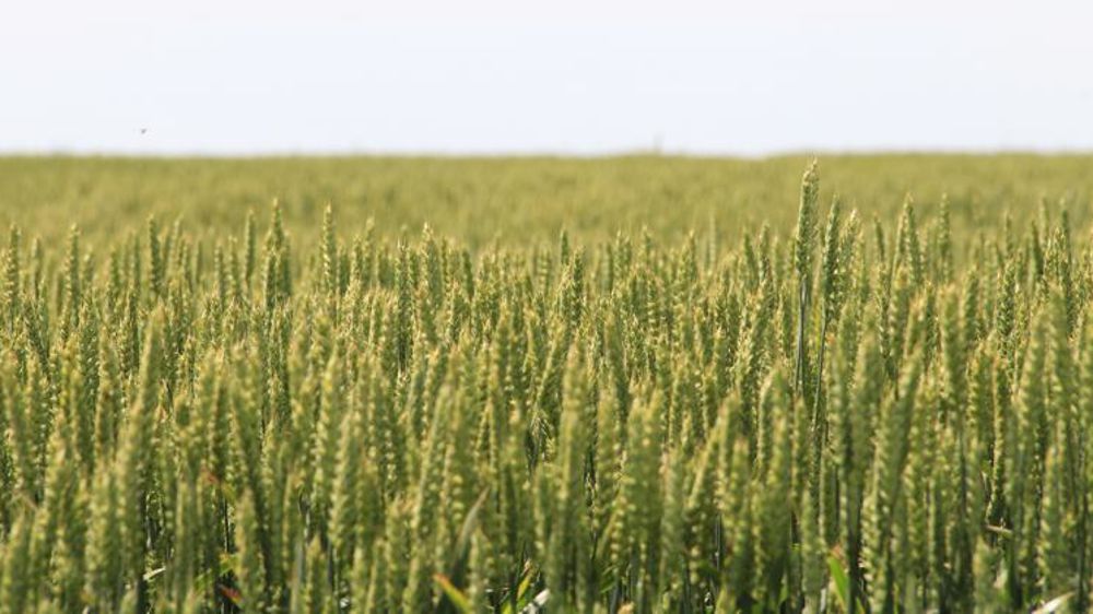 Photo d’illustration. © H.Parisot/GFA