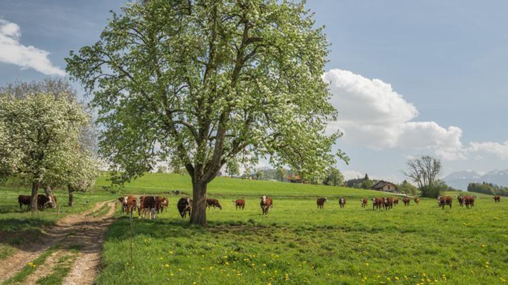 Photo d’illustration. © Laurent Fabry/GFA