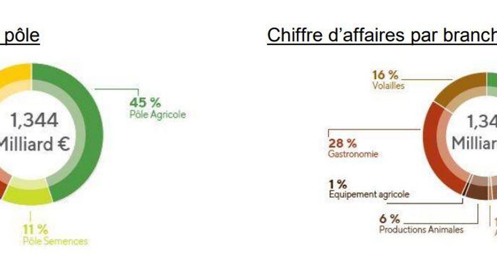 Face au résultat déficitaire de l’exercice 2018-2019, la coopérative Maïsadour prévoit d’accélerer et d’amplifier ses efforts pour sa compétitivité. © Maïsadour
