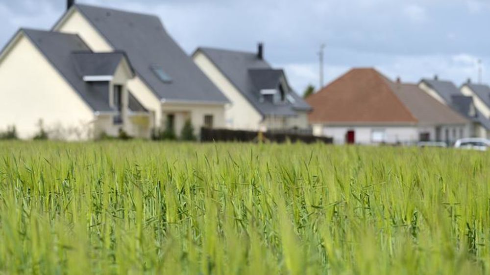 © Stéphane Leitenberger