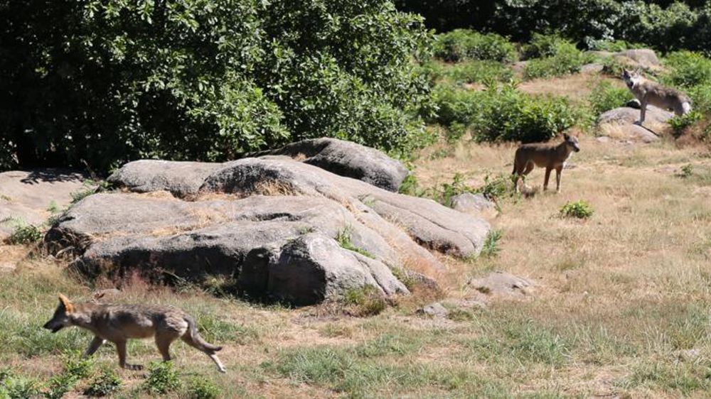 © M.-F. Malterre/GFA