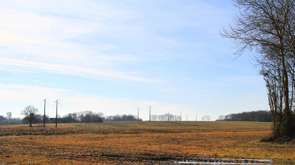 Ces produits représentaient en 2018 près des trois quarts des tonnages de produits à base de glyphosate vendus en France, pour des usages agricoles et non agricoles. © D. Bardoux