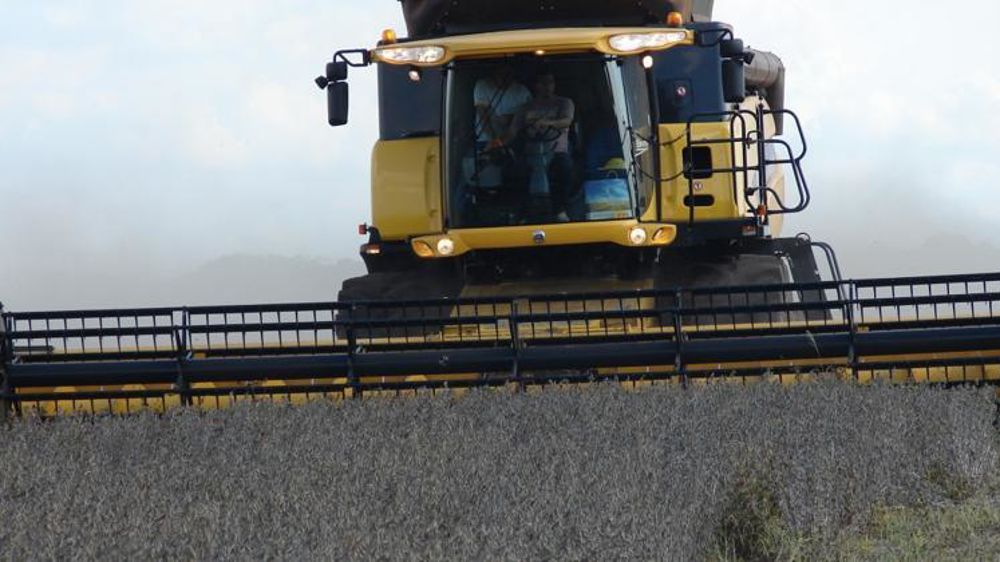 Le soja et les tourteaux sont l’un des principaux postes d’importation de l’Union européenne en valeur. © Pxhere