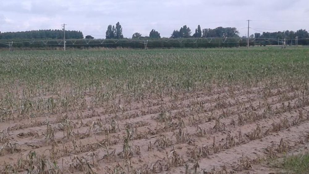 © Chambre d’agriculture du Lot-et-Garonne