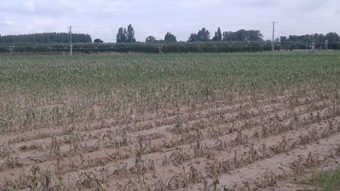 © Chambre d’agriculture du Lot-et-Garonne © Chambre d’agriculture du Lot-et-Garonne