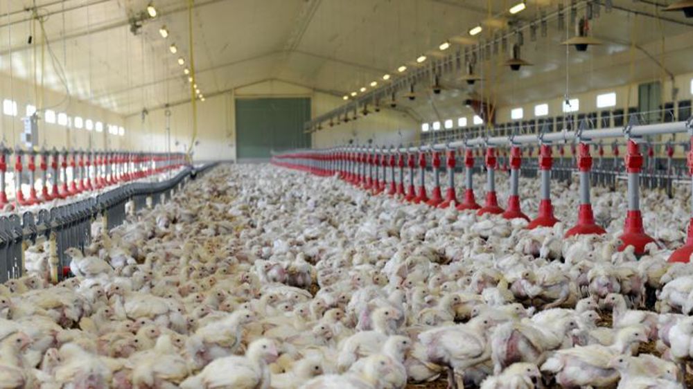 © Cédric Faimali/GFA