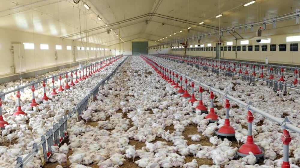 © Cédric Faimali/GFA