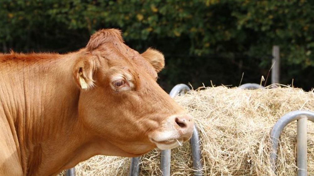 © Hélène Chaligne/GFA