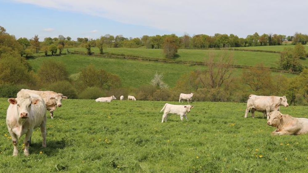 © M.-F. Malterre/GFA