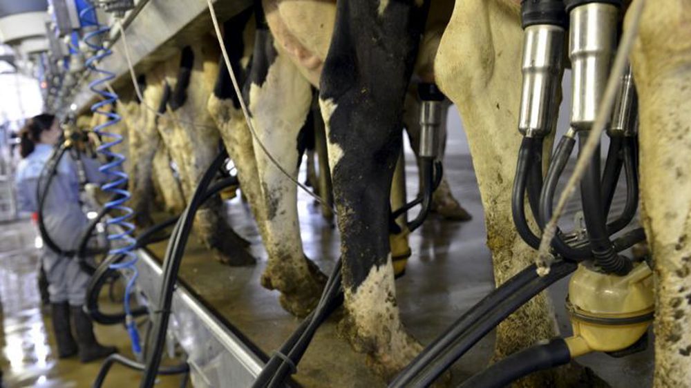 © Cédric Faimali/GFA