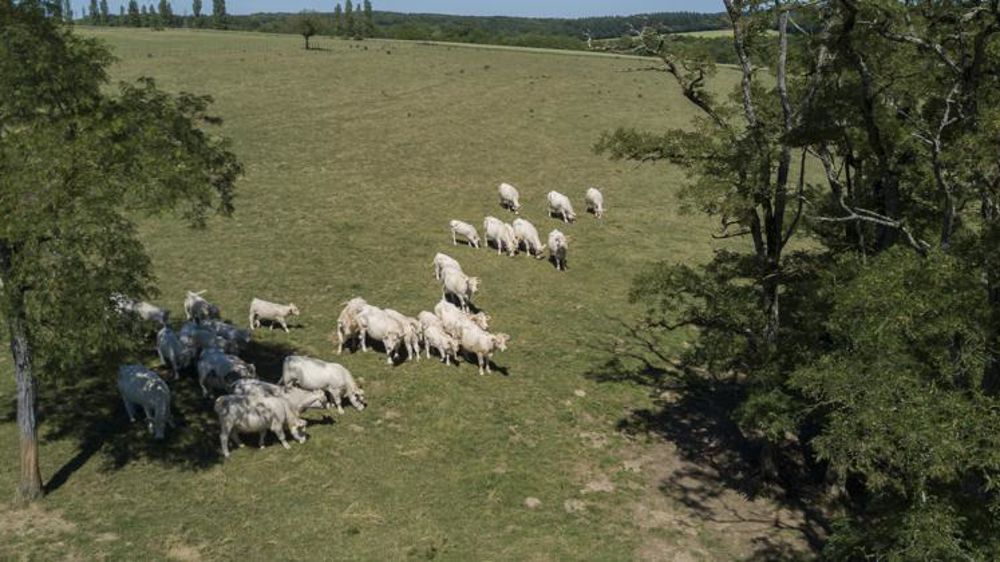 Les agriculteurs doivent télédéclarer leur demande ATR avant le 15 octobre 2017. © C. Faimali / GFA
