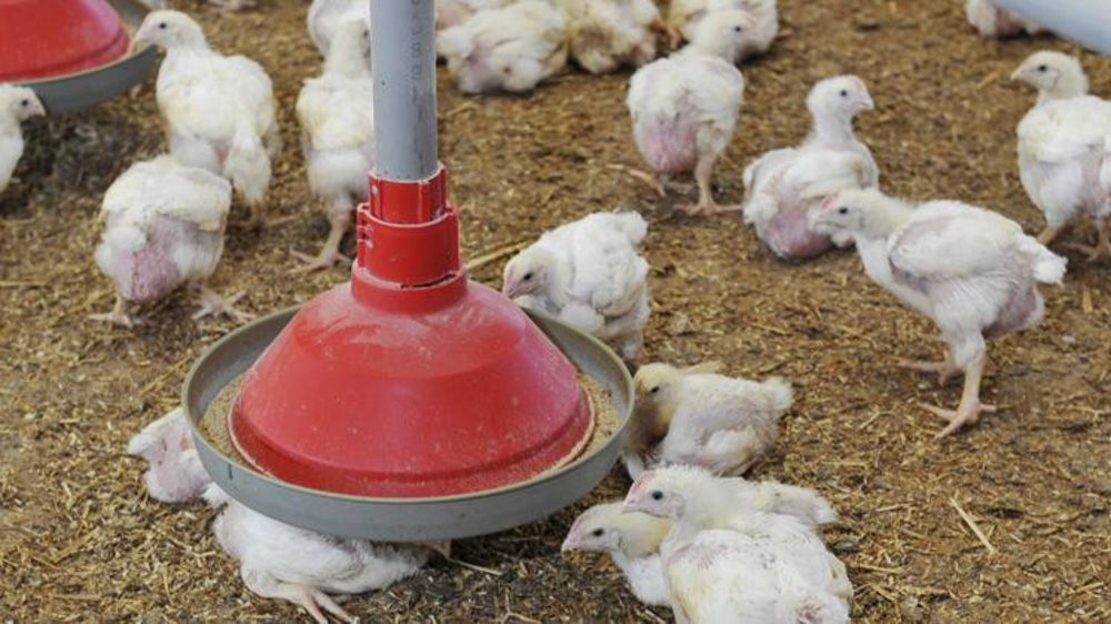 © Cédric Faimali/GFA