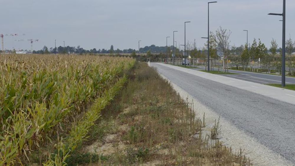 L’urbanisation galopante en Île-de-France a pour autre effet de morceler les terres agricoles. © Cédric Faimali/GFA