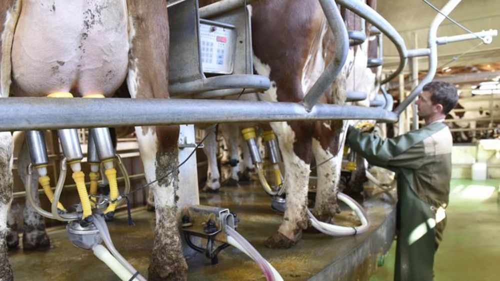 © Cédric Faimali/GFA