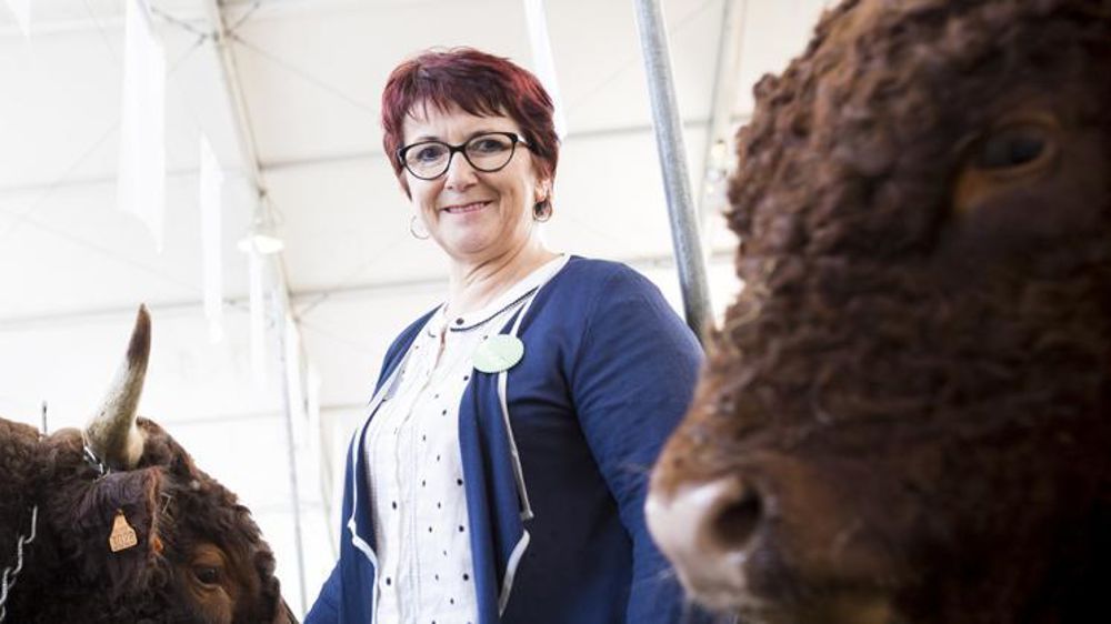 © Jérôme Chabanne