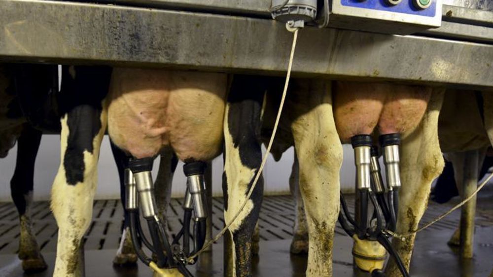 © Cédric Faimali/GFA