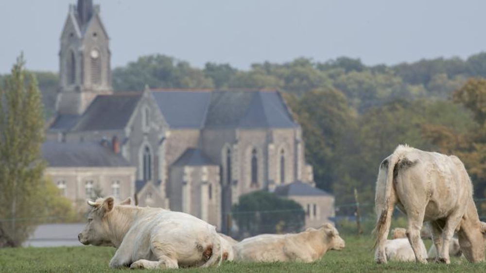 La « défense des territoires » doit passer par le maintien des services de proximité pour 72 % des Français. © Christian Watier
