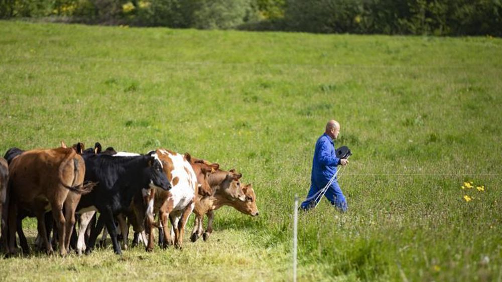 La mission parlementaire sur les baux ruraux se penchera sur l’équilibre entre les bailleurs et les fermiers. © Franck Betermin