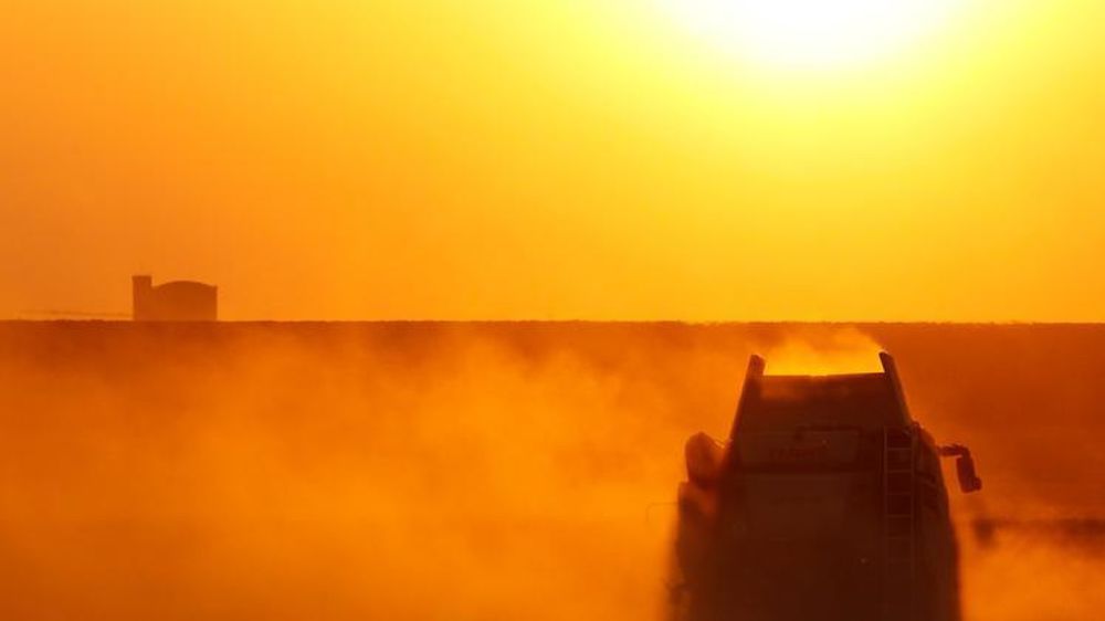 Moisson dans la Marne. © Jean-Charles Gutner