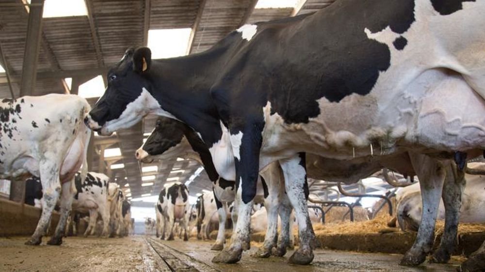 © S. Champion/Reportage