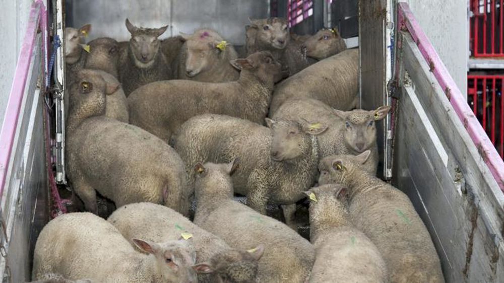 © Sébastien Champion