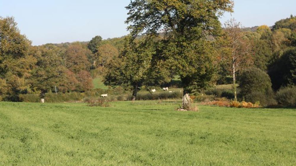 © M.-F. Malterre / GFA