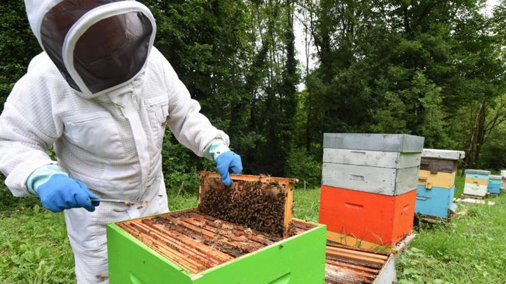 © J.-P. Amet/Reportage