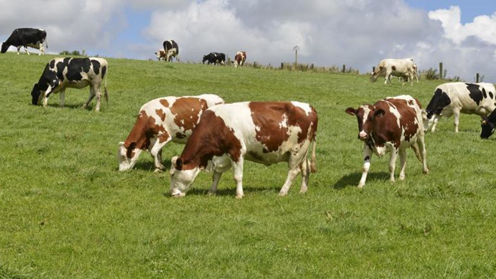 © Cédric Faimali/GFA