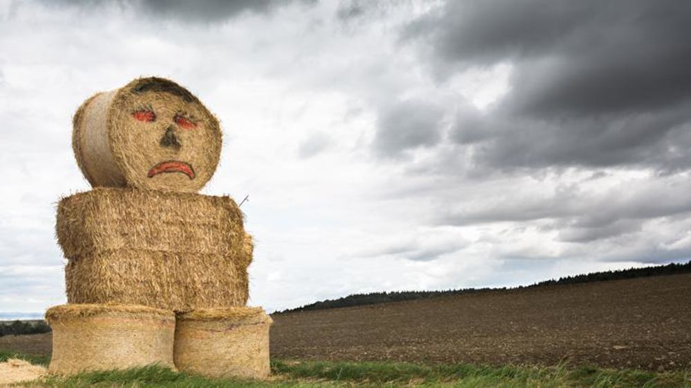 Le décret du 9 novembre sur la durée du travail en agriculture rétablit l’organisation de la récupération des heures perdues pour cause d’intempéries © Claudius Thiriet