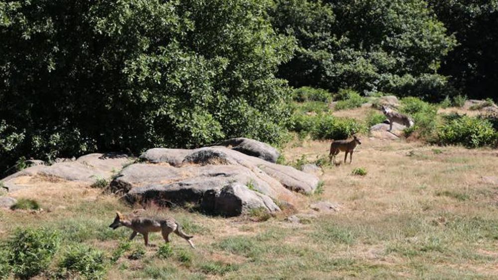 © M.-F. Malterre/GFA