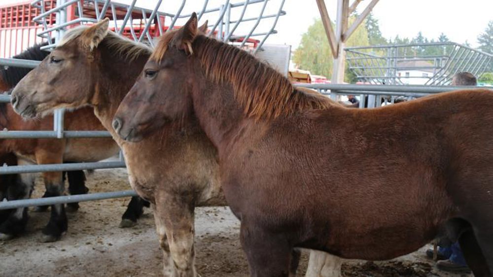 © M.-F. Malterre/GFA