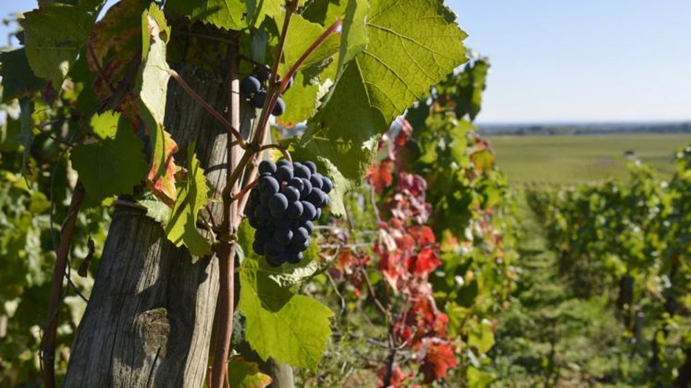 © Cédric Faimali/GFA