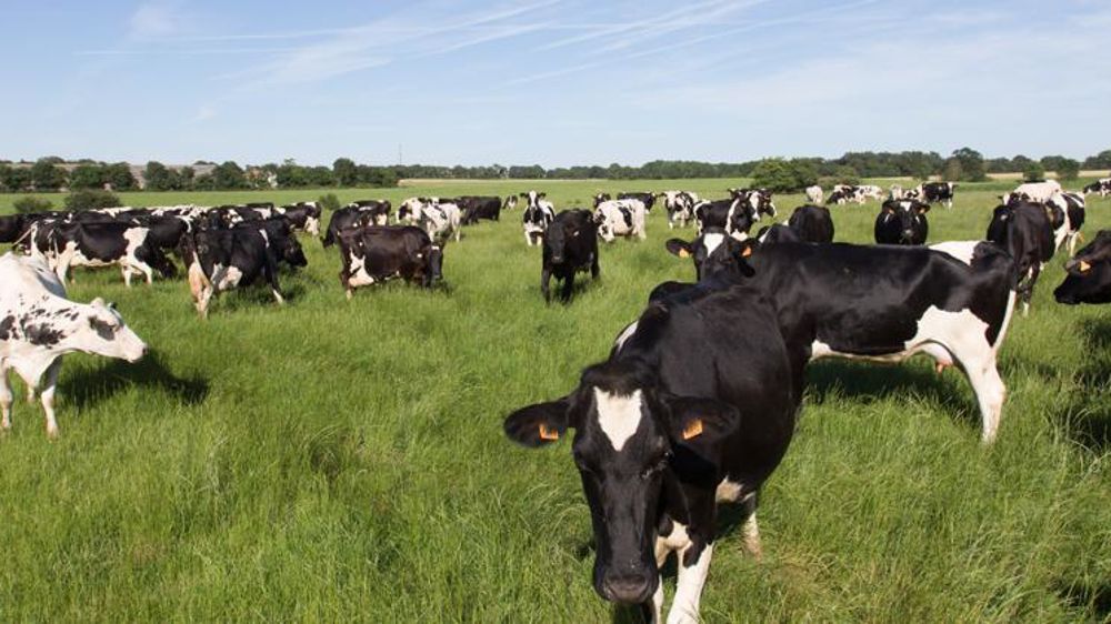 © Sébastien Champion