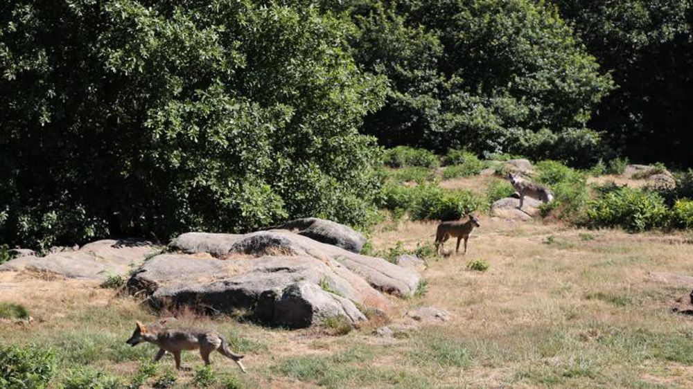 © M.-F. Malterre/GFA