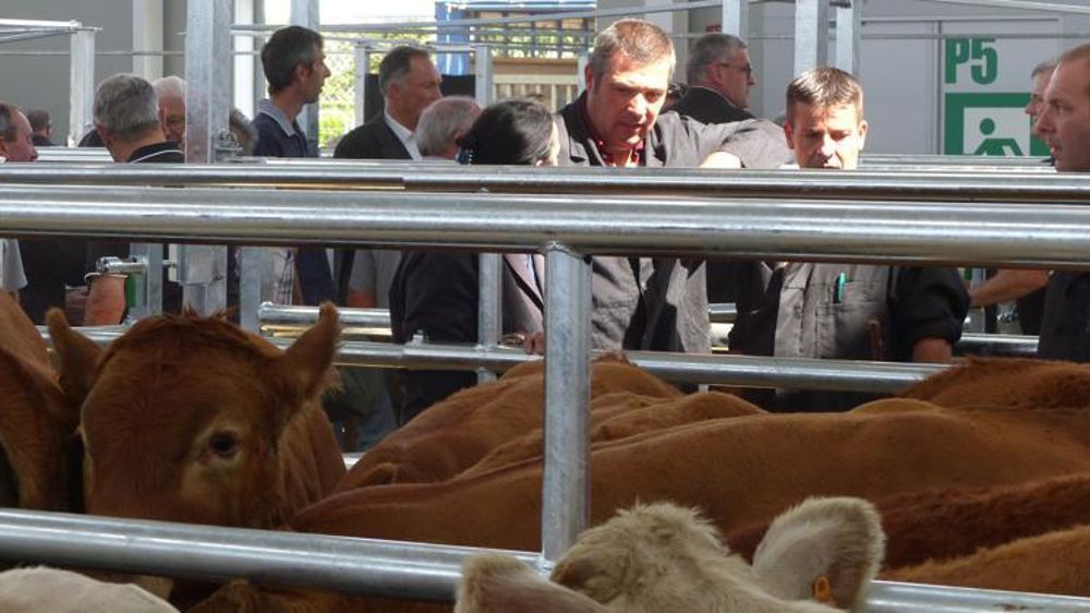 © V. Scarlakens/GFA