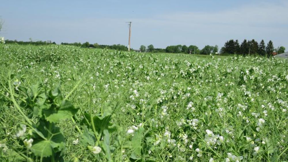 © C. Fricotté/GFA