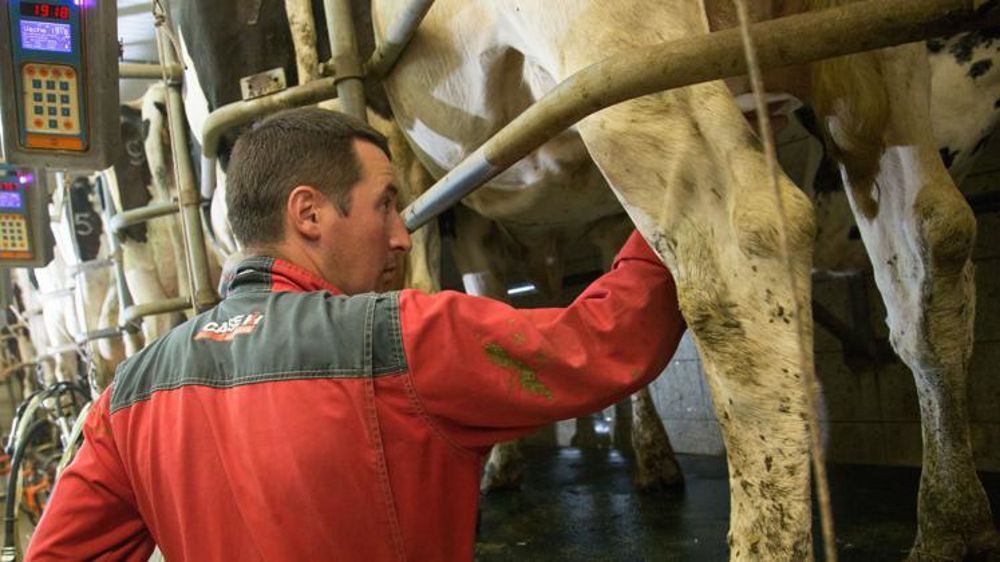 © Sébastien Champion Reportage