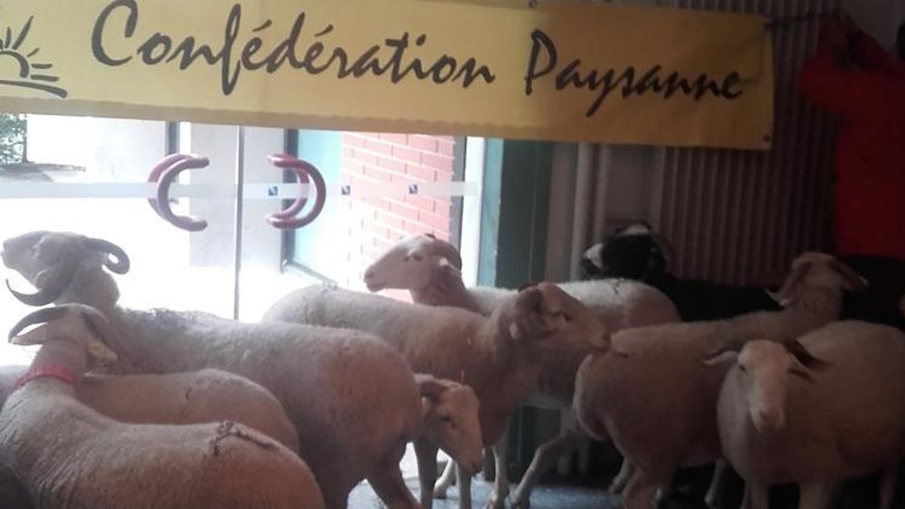 © Confédération paysanne